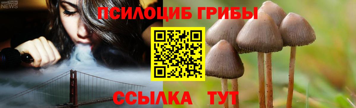Псилоцибиновые грибы мухоморы  Галлюциногенные грибы Magic Shrooms  Протвино  Вход с VPN 
